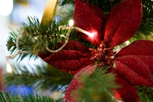 Ingerichte Chrismas Boom Nieuwjaar 2019 — Stockfoto