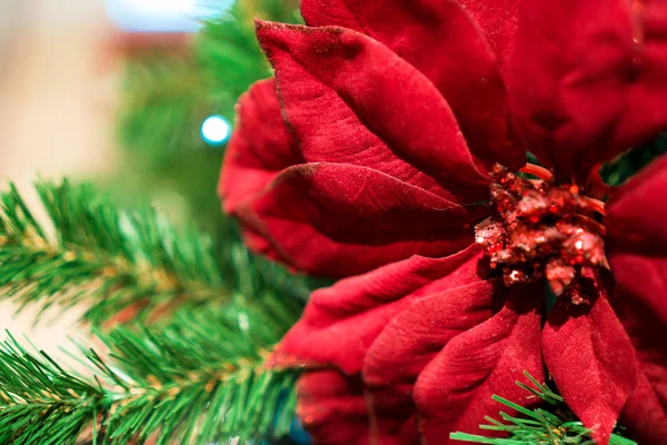Украшенное Рождественское Дерево Новый Год — стоковое фото