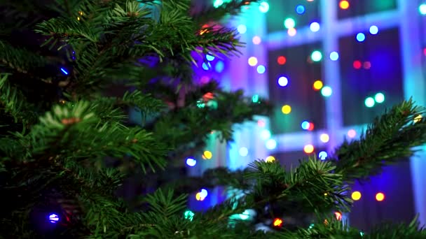 Hombre Mano Decorando Árbol Navidad Con Luces Brillantes Navidad — Vídeos de Stock