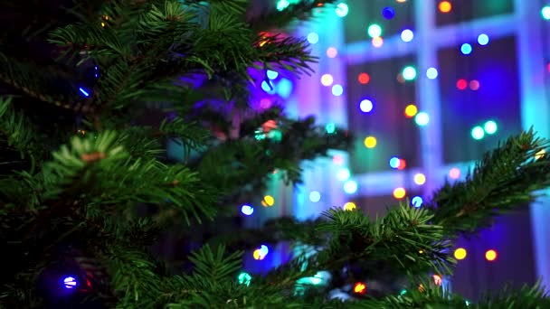 Hombre Mano Decorando Árbol Navidad Con Luces Brillantes Navidad — Vídeos de Stock