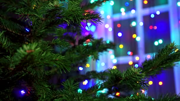 Hombre Mano Decorando Árbol Navidad Con Luces Brillantes Navidad — Vídeos de Stock