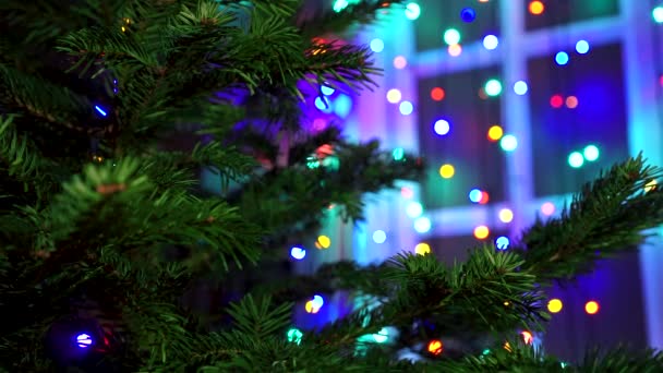 Hombre Mano Decorando Árbol Navidad Con Luces Brillantes Navidad — Vídeo de stock