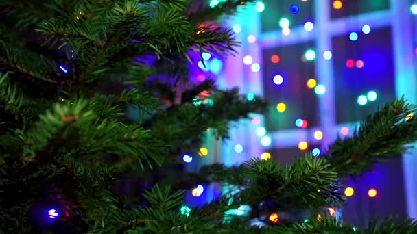 Hombre Mano Decorando Árbol Navidad Con Luces Brillantes Navidad — Vídeo de stock