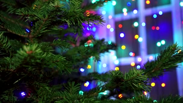 Mujer Mano Decorando Árbol Navidad Con Luces Brillantes Navidad — Vídeo de stock