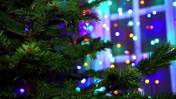 Karácsony karácsonyfa díszítő kezét nő fények fénye.