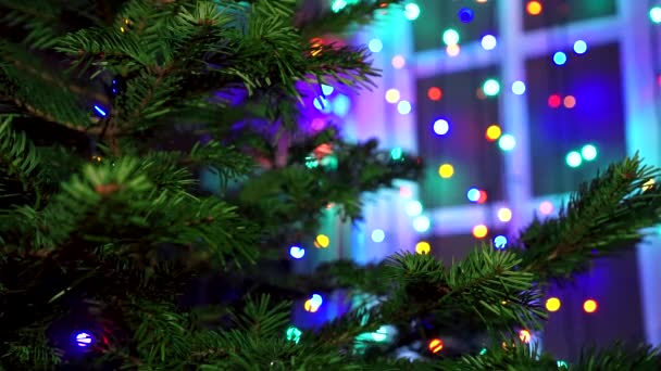 Mujer Mano Decorando Árbol Navidad Con Luces Brillantes Navidad — Vídeo de stock