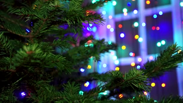 Mujer Mano Decorando Árbol Navidad Con Luces Brillantes Navidad — Vídeo de stock