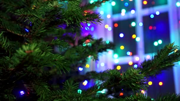 Mujer Mano Decorando Árbol Navidad Con Luces Brillantes Navidad — Vídeo de stock