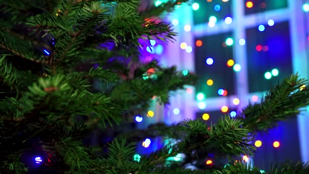 クリスマスとクリスマス ツリーに飾る手女性輝きライト — ストック動画