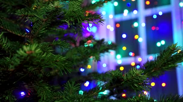 Karácsony Karácsonyfa Díszítő Kezét Fények Fénye — Stock videók