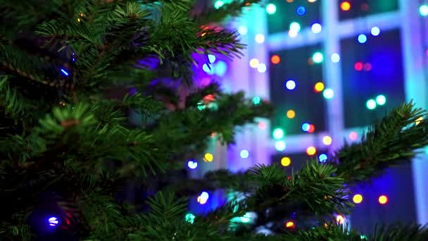 Mujer Mano Decorando Árbol Navidad Con Luces Brillantes Navidad — Vídeos de Stock