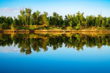 Riverside düşmüş ağaç ve gökyüzünü yansıtan
