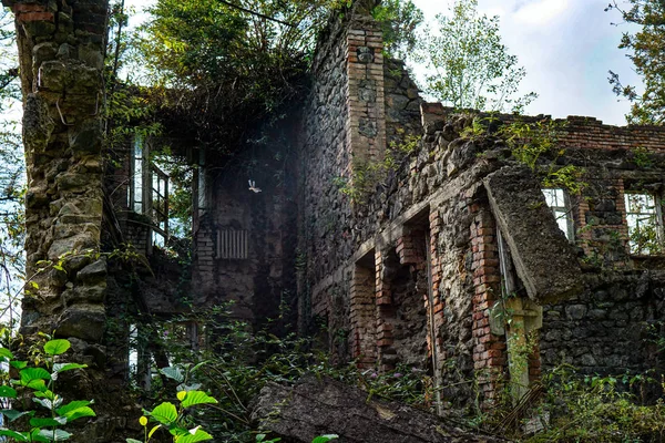 Příroda Zachycuje Zničeného Domu Dům Opustili Lidé Tkvarcheli — Stock fotografie