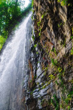 Şelale dev. Doğu Abhazya. Tkvarcheli şehri. Akarmara bahşı.