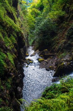 Şelale dev. Doğu Abhazya. Tkvarcheli şehri. Akarmara bahşı.