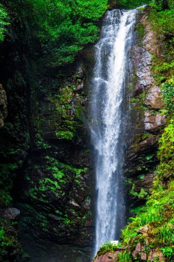 Şelale Akarmarskiy. Doğu Abhazya. Tkvarcheli şehri. Akarmara bahşı.