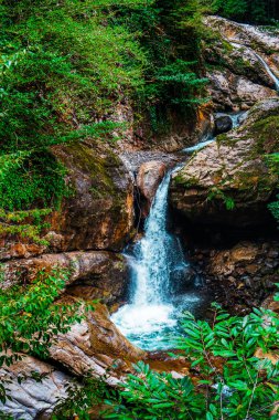 Dağ basamaklı şelale. Doğu Abhazya. Tkvarcheli şehri. Akarmara bahşı.