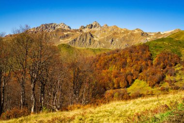 Bulutsuz güneşli bir sonbahar dağlarda. Büyük Caucasus aralığı. Abhazya. Gürcistan.