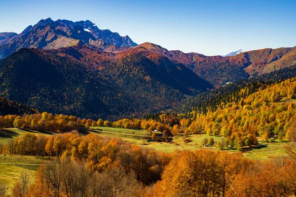 Bulutsuz güneşli bir sonbahar dağlarda. Büyük Caucasus aralığı. Abhazya. Gürcistan.