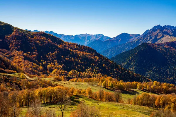 Bulutsuz güneşli bir sonbahar dağlarda. Büyük Caucasus aralığı. Abhazya. Gürcistan.