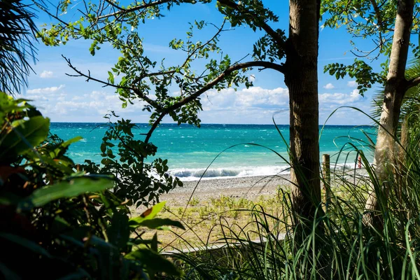 Plaj. Açık mavi deniz manzaralı. Abhazya. Gürcistan.