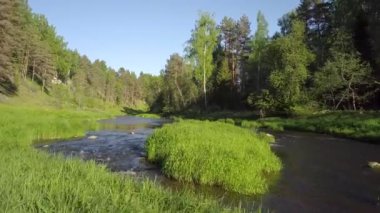 Yaz günü nehir üzerinde uçan