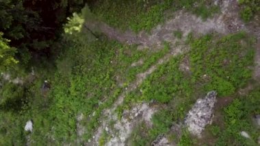 Ağaçların üzerinden uçuyor