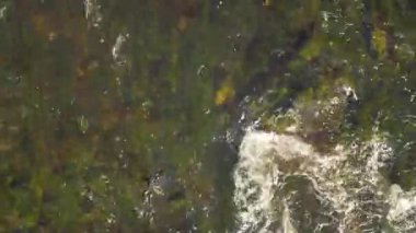 Nehrin üzerinde yaz günde yükselişi