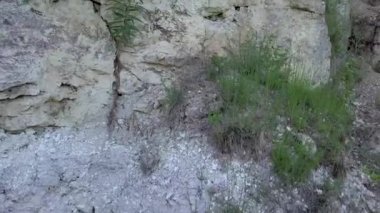 Beyaz kayaya çıkar