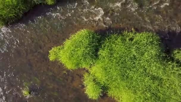 Sube Por Encima Del Río Día Verano — Vídeo de stock