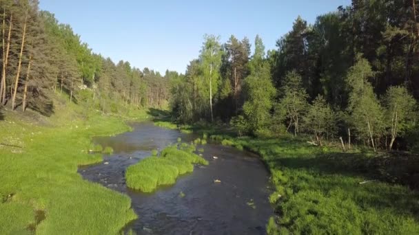 Flyger Över Floden Sommardag — Stockvideo