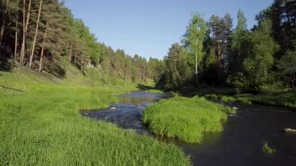 Volare Sul Fiume Giorno Estate — Video Stock