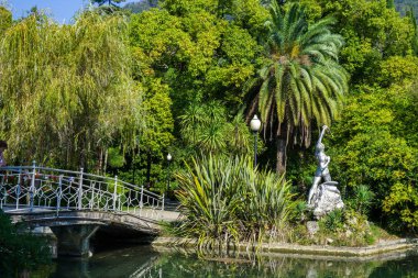 Palmiye ağacı yeni Afon parkında. Abhazya. Gürcistan.