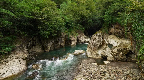 Gorge akan nehir hızlı dağ. Abhazya. Gürcistan.