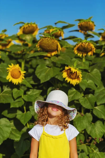 ひまわり背景の帽子の少女の肖像画をトリミング — ストック写真