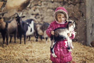 Keçi bahçesinde oynarken ceket küçük kız