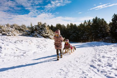 İki kız kardeş birlikte kış dağ tarafından sledging