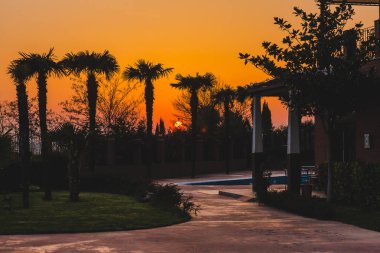 Gün batımında tropik ağaçları ile deniz kenarında Bahçe rahat