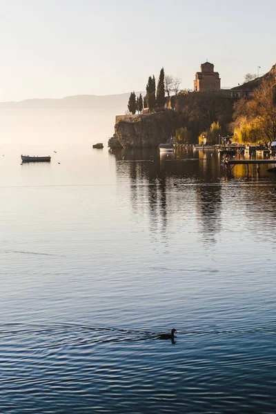 Akşam nehirde yüzen küçük ördek
