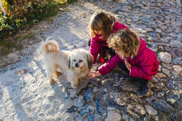 Pembe kat Caddesi üzerinde kabarık köpekle oynayan'de iki kız