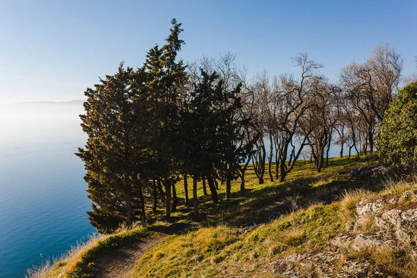 Tepeye ağaçlar ve arka plan üzerinde Nehri