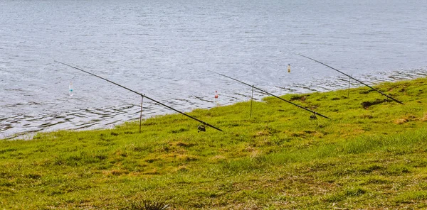 Fila Canne Pesca Sulla Riva Del Fiume — Foto Stock