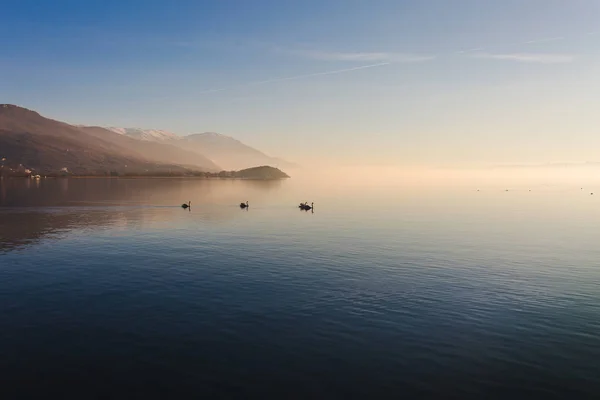 Zarif kuğu tarafından nehrinin günbatımında kayan