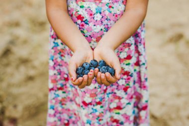 Mor üzüm elinde tutan renkli elbiseli küçük kız