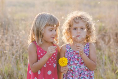 Çayırda kurutulmuş dandelions oynamaktan iki kız kardeş