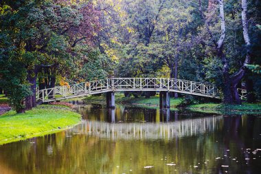 Park su birikintisi ve köprü ile