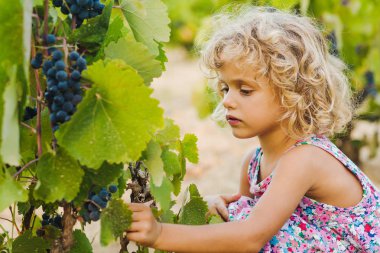 Bağ sevimli kıvırcık kız