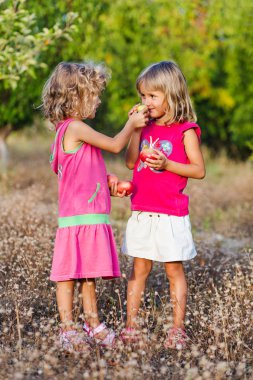 İki kız bahçede elma toplama