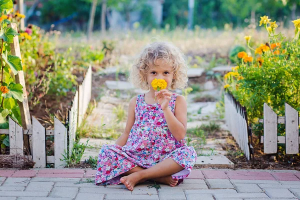 微笑的卷曲的女孩坐在花园与黄色万寿菊 — 图库照片