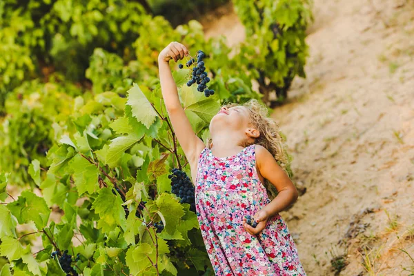 Üzüm üzüm bağıyla yiyen sevimli kıvırcık kız